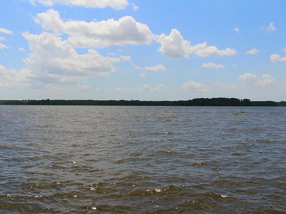 Exquisite Main Body Views