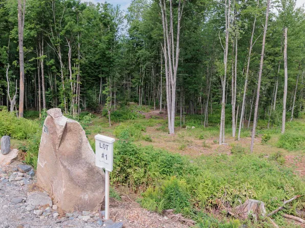 219 Weber Brook Lane #1, Craftsbury, VT 05826
