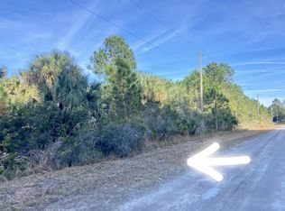 733 Spoonbill St SW, Palm Bay, FL 32908