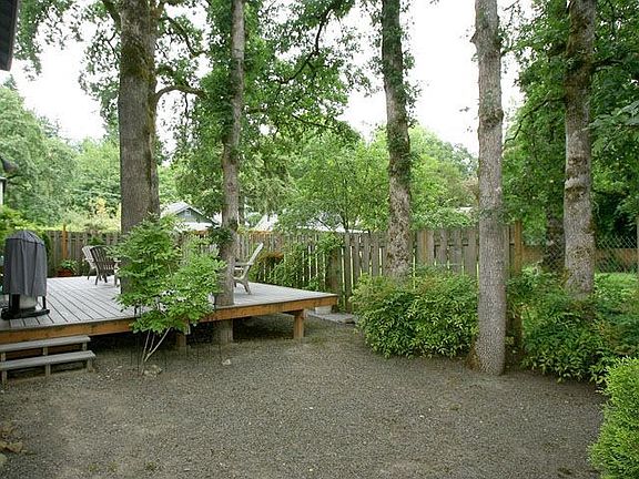 Back yard