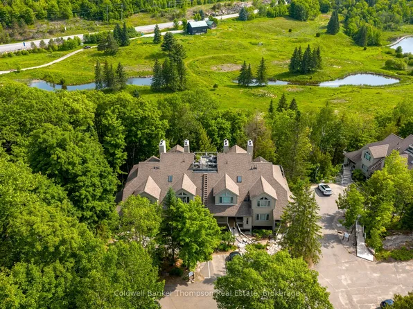 3931 Grandview Forest Hill Dr, Huntsville, ON P1H 2J5