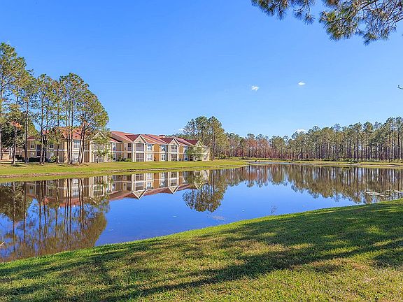 Pond Behind Home
