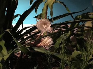 2470 Begonia Dr, Middleburg, FL 32068