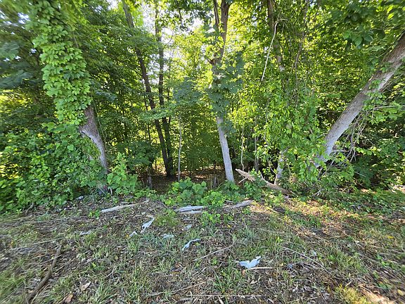 4th image of 1120 Douglas Ave