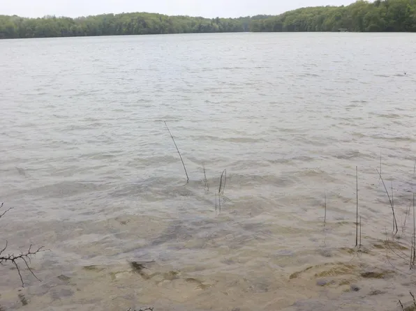 V/l Tranquil Wood Ln, Bellaire, MI 49615