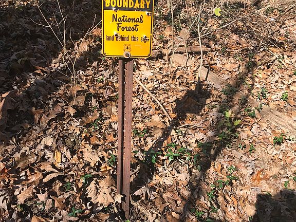 2nd image of 17350 Old State Road 37