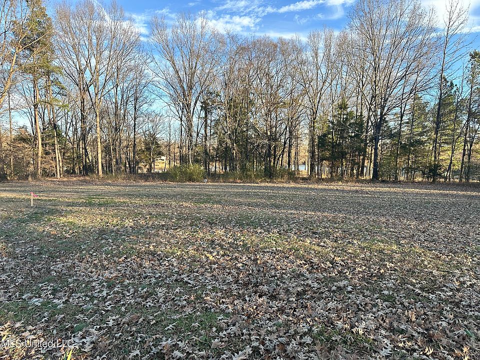 2nd image of Douglas Rd Lot 3