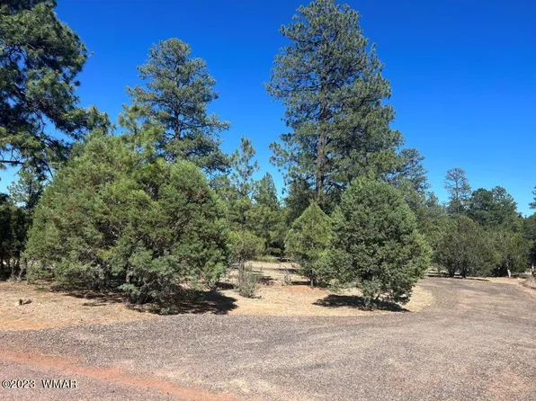 2971 Arrowhead Dr, Overgaard, AZ 85933