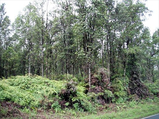 4th image of Road 9 Koloa Maoli Lot 5422