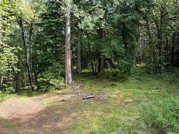 5th image of Boscage Ln