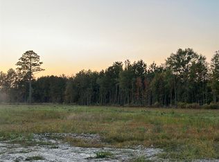 30679 Cane Market Rd, Walker, LA 70785