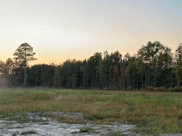 30679 Cane Market Rd, Walker, LA 70785