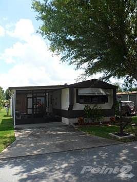 Relax and Enjoy the Shade!