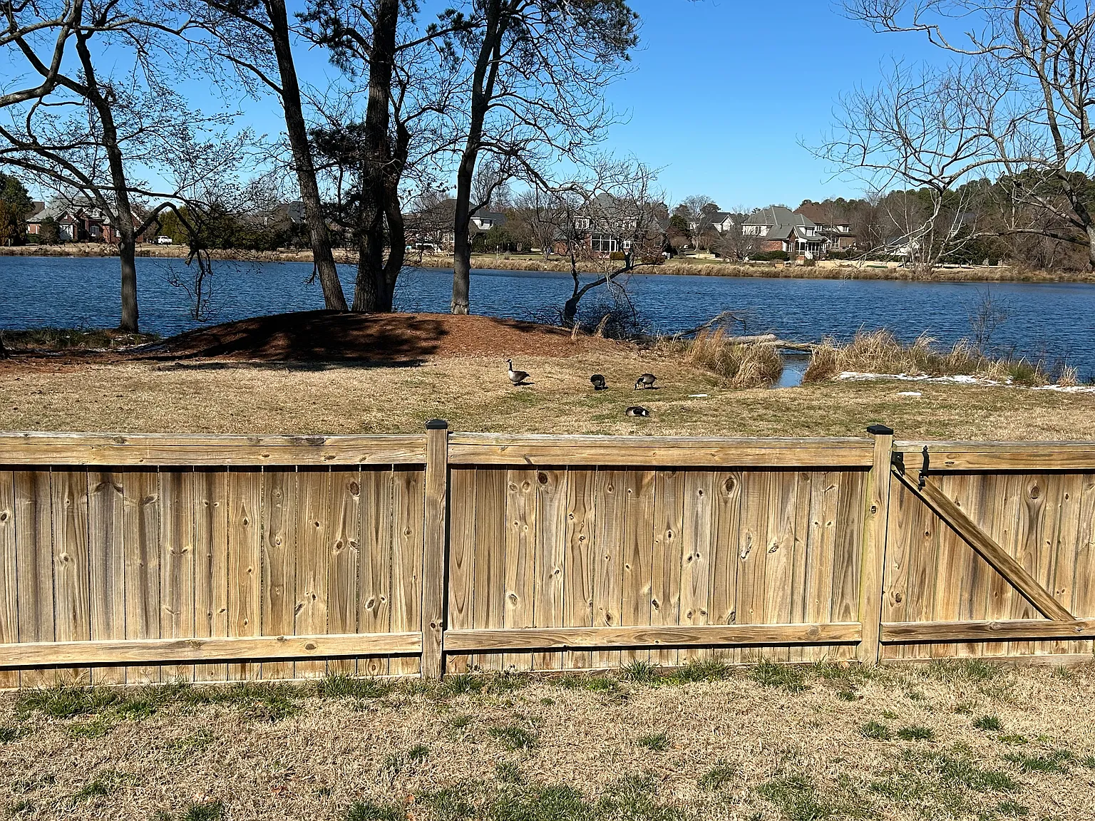 3 bed, 2530 sqft, $3,000 — Photo 4