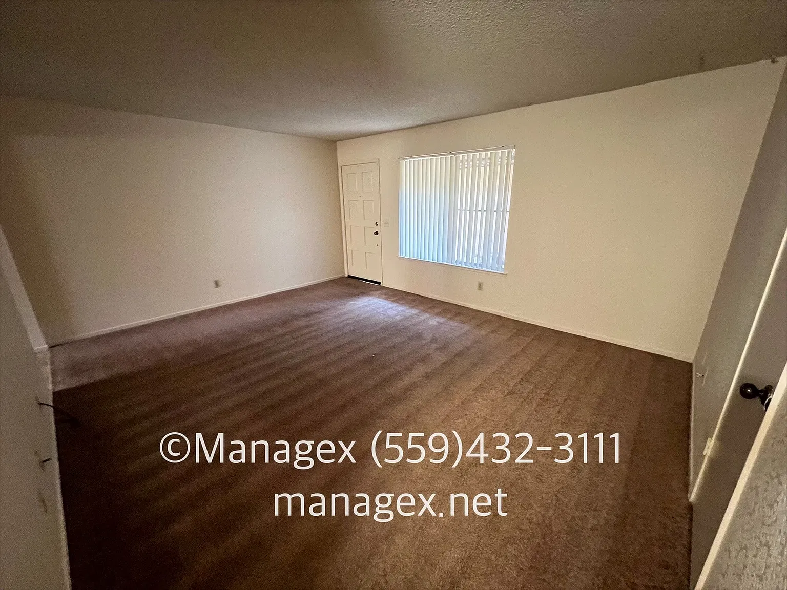 2 bed, 700 sqft, $1,200 — Photo 3
