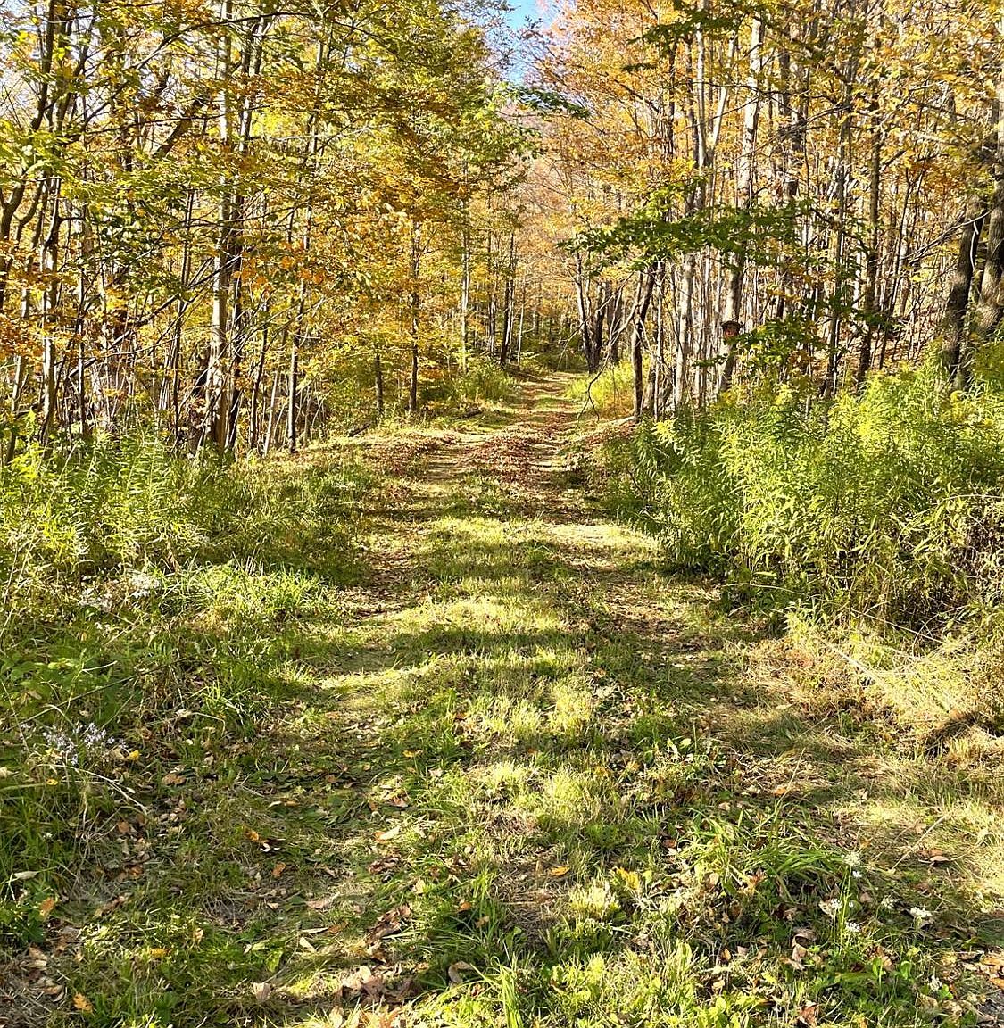 149 Rusk Mountain Rd, West Kill, NY 12492 MLS 150242 Zillow