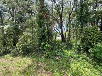 3965 E Walker St, Inverness, FL, 34453