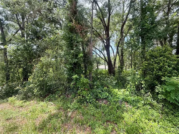 3965 E Walker St, Inverness, FL 34453