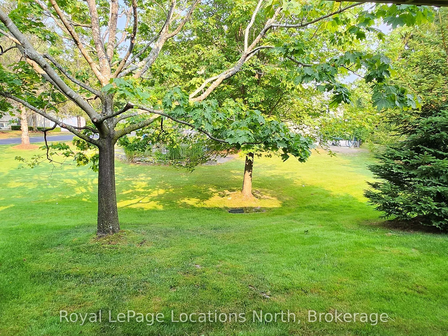 2 bed, $2,800 — Photo 3
