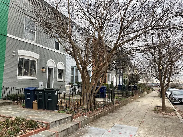 1 bed, 100 sqft, $735 — Photo 2