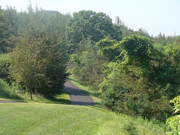 Nearby Walking Trails