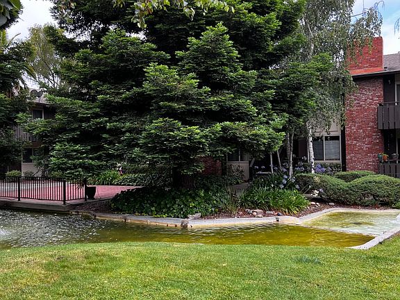 Another View of Pond