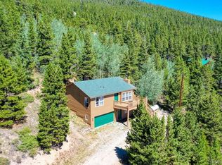 55 Hillside Rd, Idaho Springs, CO 80452