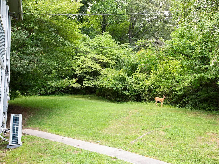 153 Wade Ln #153 — Photo 7
