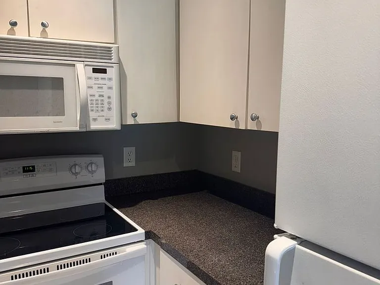 1132 S Pine Ridge Cir #108 — Photo 9