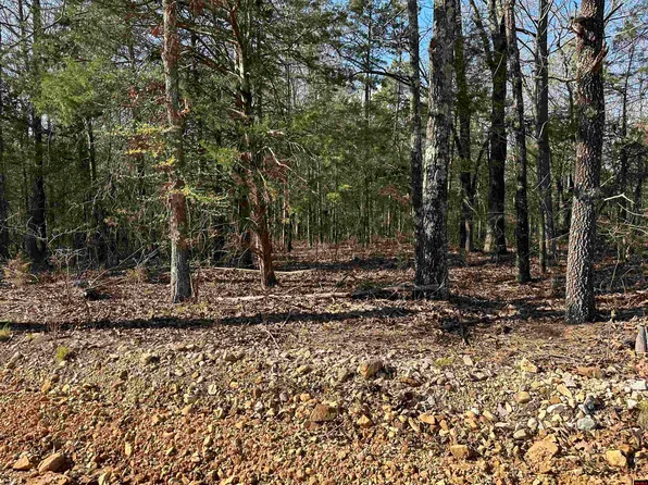 001-03258-000 Dickens Ln, Mountain View, AR 72560