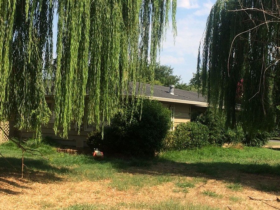 2nd image of 209 Vestal Ave