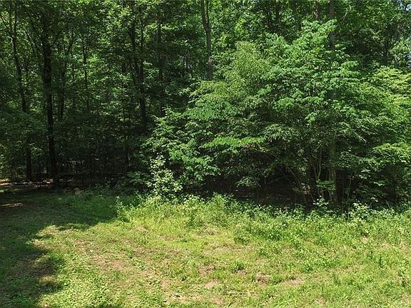 2nd image of 0 Blue Heron Lane