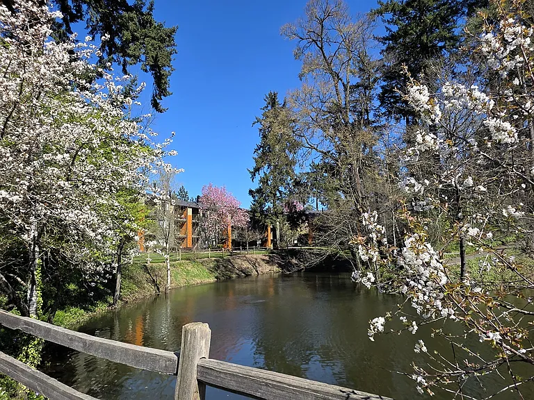 Crystal Lake — Photo 47