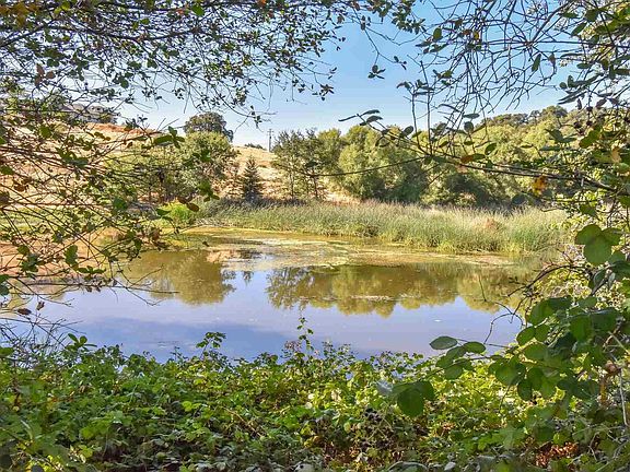 2nd image of 18139 Pond View Ct