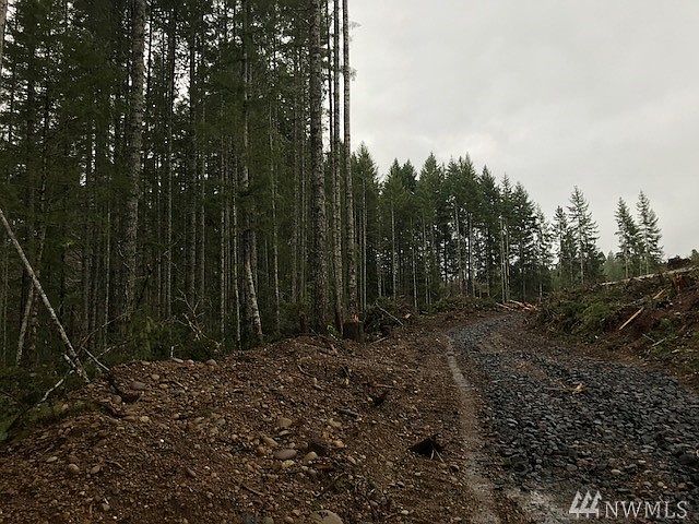 2nd image of 0 NE Tee Lake Rd
