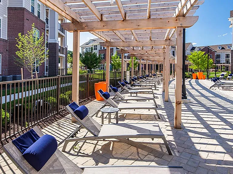 Canopy at Ginter Park Apartments — Photo 24