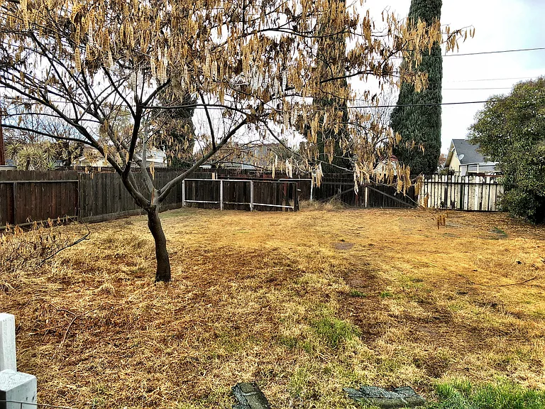 232 Albert Ave — Photo 5