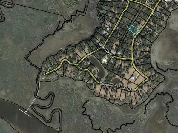 263 Coopers Point Dr NE, Townsend, GA 31331