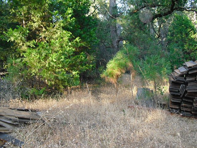 2nd image of 0 Old River Rd