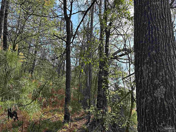 5th image of Snyder Rd