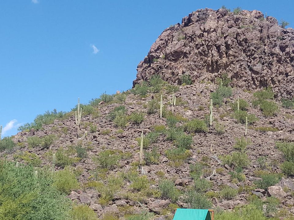 1st image of 10237 N Onyx Moon Dr