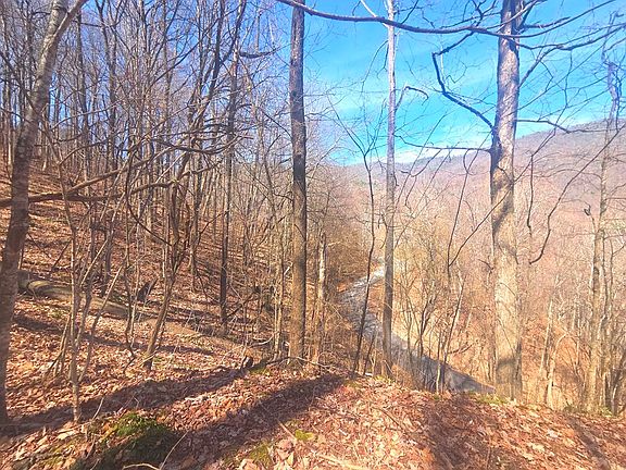 3rd image of 1200 Chestnut Flats Rd