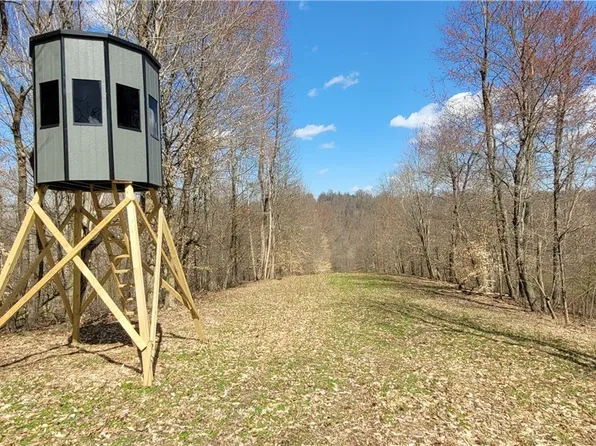 Brush Run Rd, Cambridge, OH 43725