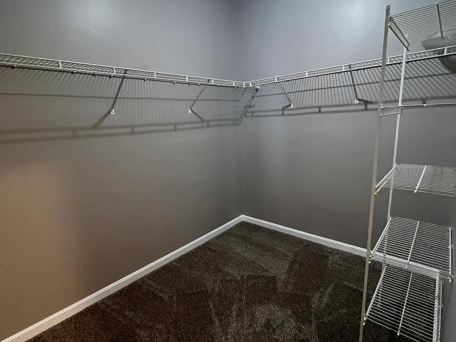 2 bed, $1,300 — Photo 4