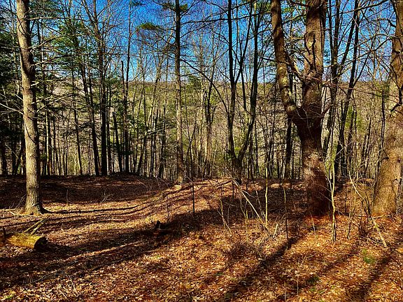 5th image of TBD Nys 97