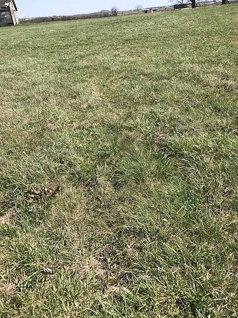 1st image of Francis Ln