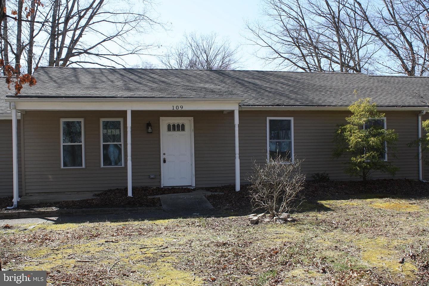 williamstown home dog bed