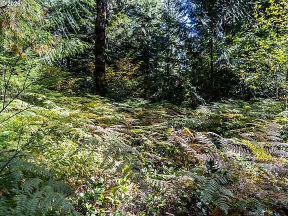 3rd image of 20570 E Lolo Pass Rd