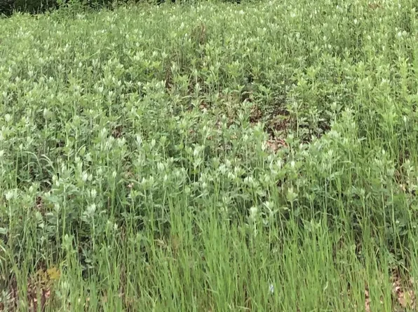 Newfield Road, Torrington, CT 06790