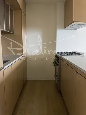 Rented by Platinum Properties | media 13